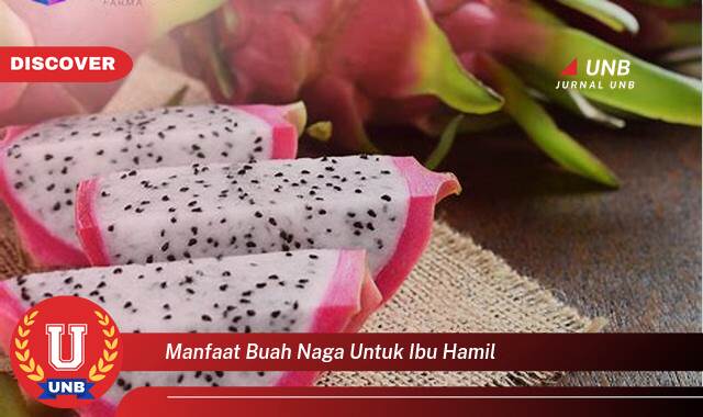 Temukan 9 Manfaat Buah Naga untuk Ibu Hamil, Nutrisi Penting bagi Kehamilan yang Sehat Temukan 9 Manfaat Buah Naga untuk Ibu Hamil, Nutrisi Penting bagi Kehamilan yang Sehat