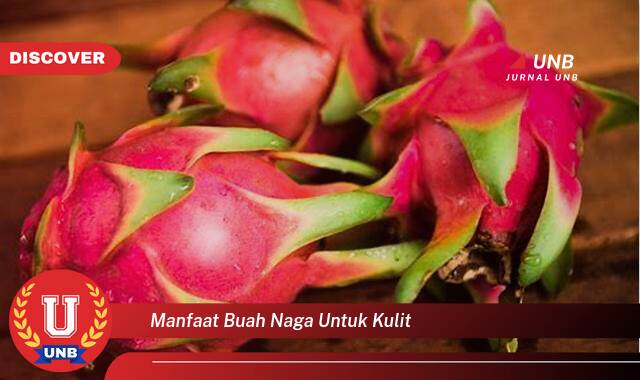 Temukan 9 Manfaat Buah Naga untuk Kulit, Rahasia Kulit Cantik dan Sehat Alami