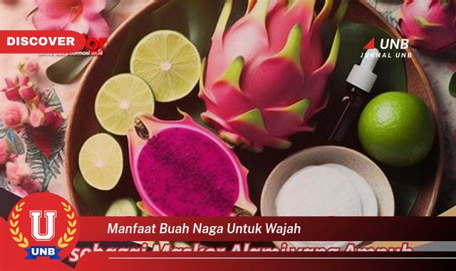 Temukan 8 Manfaat Buah Naga untuk Wajah, Kulit Cerah, Awet Muda, dan Bebas Jerawat Temukan 8 Manfaat Buah Naga untuk Wajah, Kulit Cerah, Awet Muda, dan Bebas Jerawat