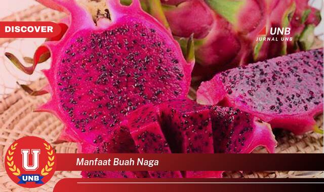 Temukan 10 Manfaat Buah Naga untuk Kesehatan, Kecantikan, dan Diet Anda Temukan 10 Manfaat Buah Naga untuk Kesehatan, Kecantikan, dan Diet Anda