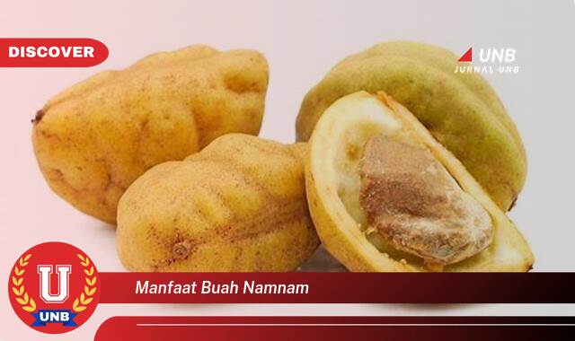 Temukan 10 Manfaat Buah Namnam untuk Kesehatan Tubuh Anda