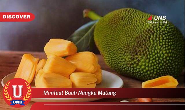 Temukan 10 Manfaat manfaat buah nangka matang yang Wajib kamu ketahui