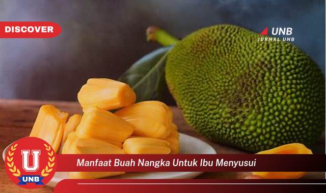 Temukan 10 Manfaat manfaat buah nangka untuk ibu menyusui yang Wajib Kamu Intip