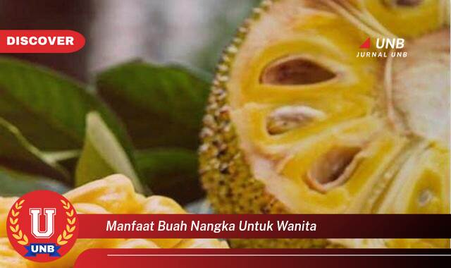 Temukan 8 Manfaat Buah Nangka untuk Kesehatan Wanita, Dari Kesuburan Hingga Kecantikan