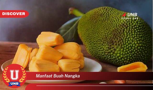 Temukan 9 Manfaat Buah Nangka untuk Kesehatan, Kecantikan, dan Cara Mengolahnya Temukan 9 Manfaat Buah Nangka untuk Kesehatan, Kecantikan, dan Cara Mengolahnya