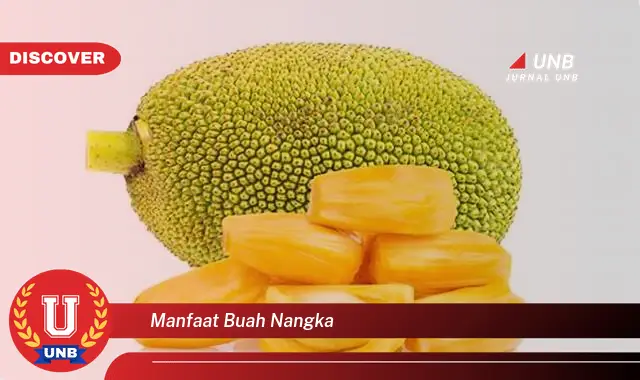 manfaat buah nangka