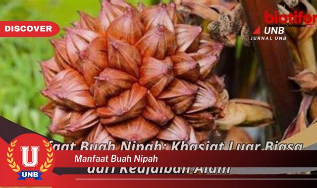 Temukan 10 Manfaat Buah Nipah untuk Kesehatan, Kecantikan, dan Lainnya