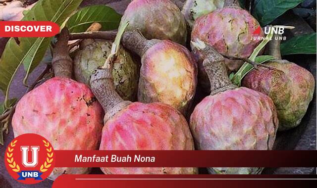 Temukan 9 Manfaat Buah Nona untuk Kesehatan dan Kecantikan Anda