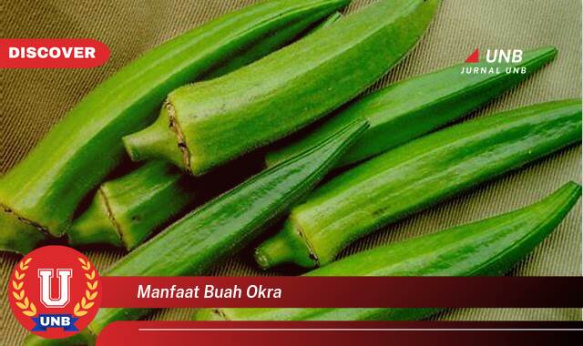 Temukan 10 Manfaat Buah Okra untuk Kesehatan Tubuh Anda