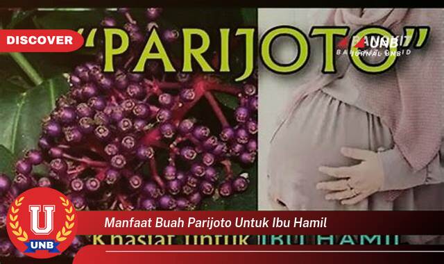 Ketahui 8 Manfaat manfaat buah parijoto untuk ibu hamil yang Bikin Kamu Penasaran