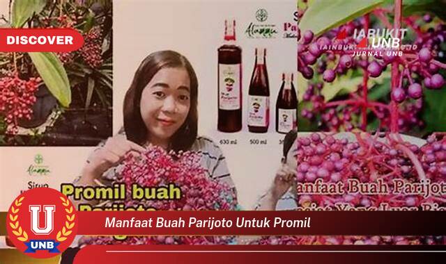 9 Manfaat manfaat buah parijoto untuk promil yang tidak Semua Orang Tau