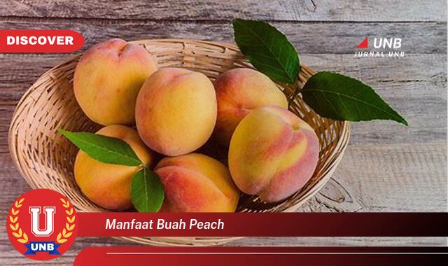 Temukan 10 Manfaat Buah Peach untuk Kesehatan, Kecantikan, dan Resep Lezat