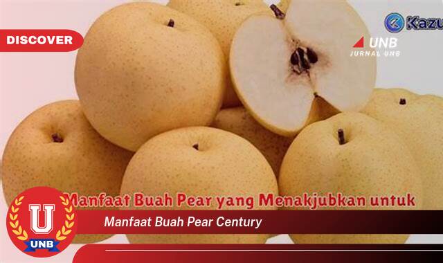 8 Manfaat manfaat buah pear century yang Bikin Kamu Penasaran
