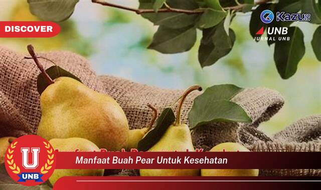 Inilah 10 Manfaat manfaat buah pear untuk kesehatan yang Bikin Kamu Penasaran