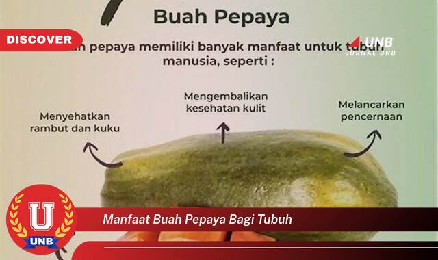 Temukan 9 Manfaat manfaat buah pepaya bagi tubuh yang Bikin Kamu Penasaran