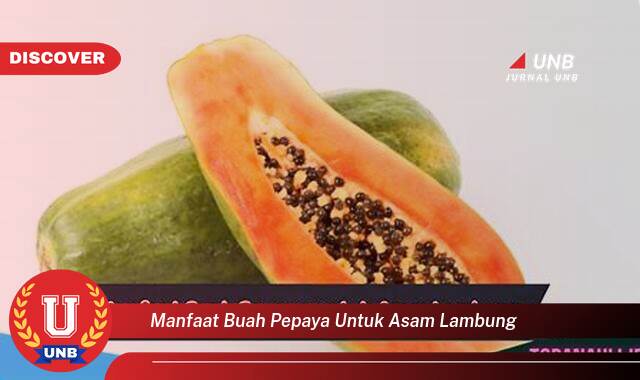 Temukan 8 Manfaat Buah Pepaya untuk Asam Lambung, Redakan Maag dan Gangguan Pencernaan