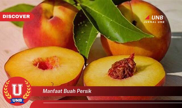 Temukan 8 Manfaat Buah Persik untuk Kesehatan dan Kecantikan Anda