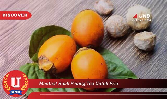 Temukan 8 Manfaat Buah Pinang Tua untuk Kesehatan Pria, Meningkatkan Stamina dan Vitalitas