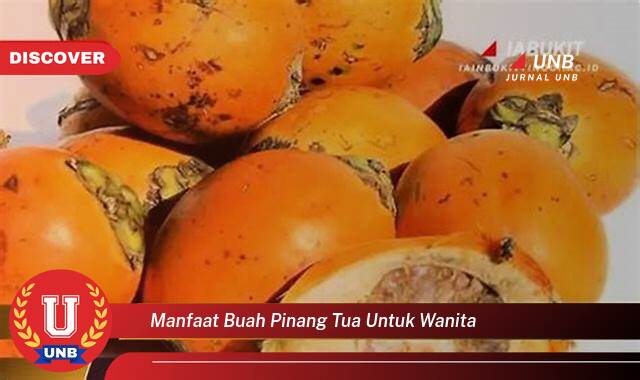 Temukan 10 Manfaat Buah Pinang Tua untuk Kesehatan Wanita,  Khasiat Tradisional dan Modern