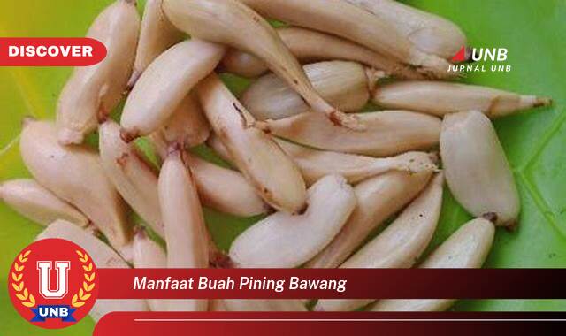 Temukan 8 Manfaat Buah Pinang Bawang untuk Kesehatan Tubuh Anda