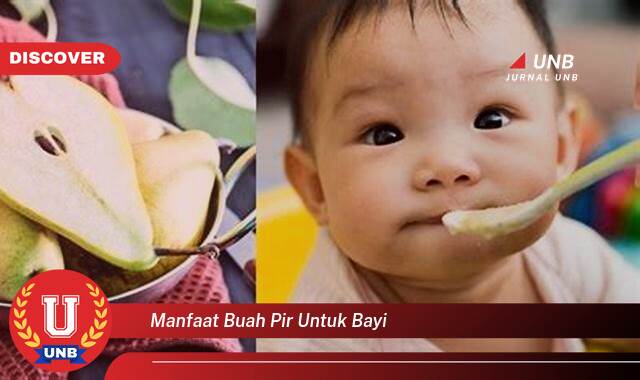 8 Manfaat manfaat buah pir untuk bayi yang Jarang Diketahui