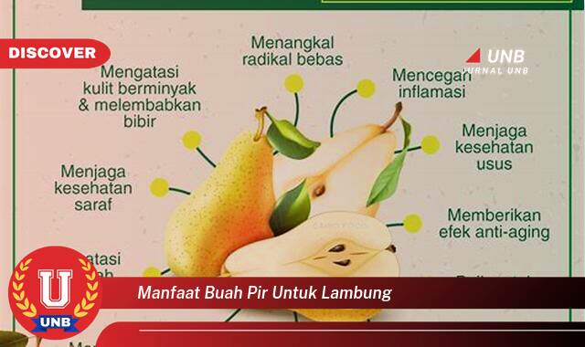 Temukan 10 Manfaat Buah Pir untuk Lambung, Redakan Masalah Pencernaan Anda Secara Alami