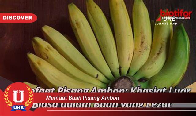 Ketahui 9 Manfaat manfaat buah pisang ambon yang Jarang Diketahui