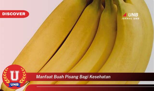 Temukan 8 Manfaat Buah Pisang bagi Kesehatan, Panduan Lengkap dari A sampai Z