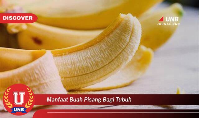 Temukan 10 Manfaat manfaat buah pisang bagi tubuh yang Bikin Kamu Penasaran