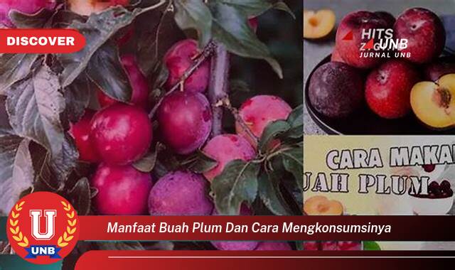 Temukan 10 Manfaat Buah Plum untuk Kesehatan dan Cara Mengonsumsinya dengan Benar