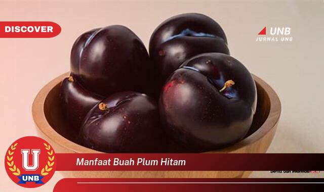 Temukan 10 Manfaat Buah Plum Hitam untuk Kesehatan Anda