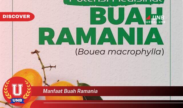 8 Manfaat manfaat buah ramania yang tidak Semua Orang Tau