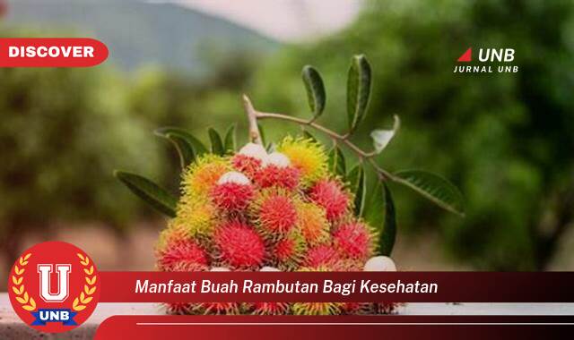 Ketahui 10 Manfaat manfaat buah rambutan bagi kesehatan yang Wajib kamu ketahui