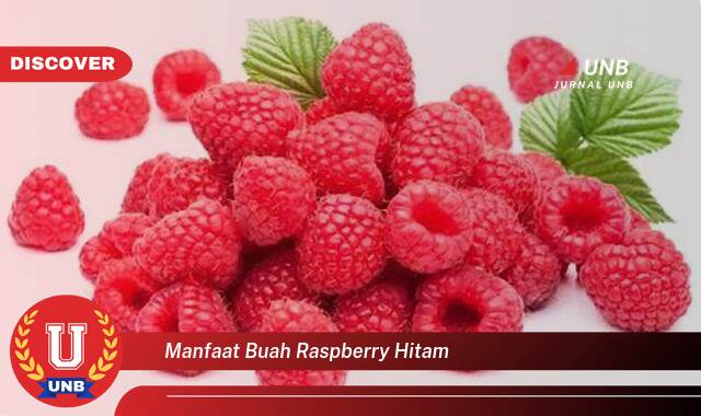 Temukan 10 Manfaat Buah Raspberry Hitam untuk Kesehatan Anda