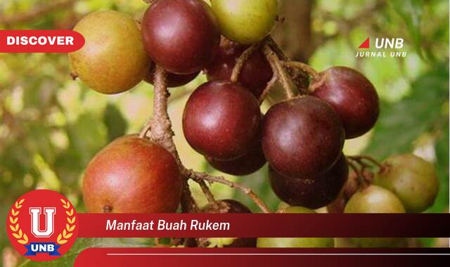 Temukan 10 Manfaat Buah Rukem untuk Kesehatan Tubuh Anda