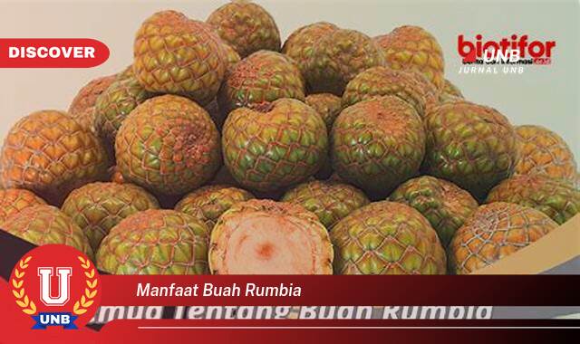 Ketahui 10 Manfaat manfaat buah rumbia yang Bikin Kamu Penasaran
