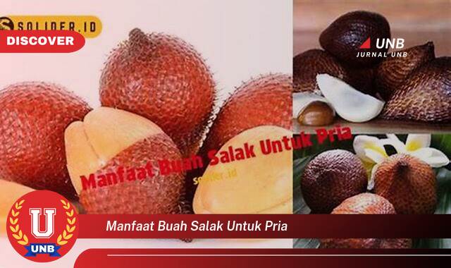 Temukan 10 Manfaat Buah Salak untuk Pria, Meningkatkan Stamina dan Kesehatan