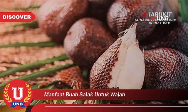 Temukan 8 Manfaat manfaat buah salak untuk wajah yang Wajib Kamu Intip