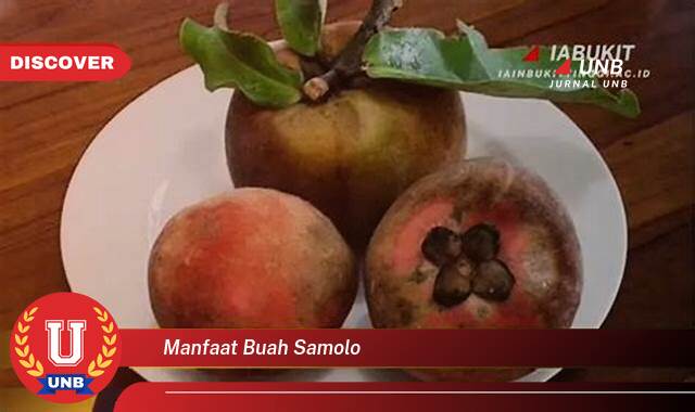 Temukan 10 Manfaat manfaat buah samolo yang tidak Semua Orang Tau