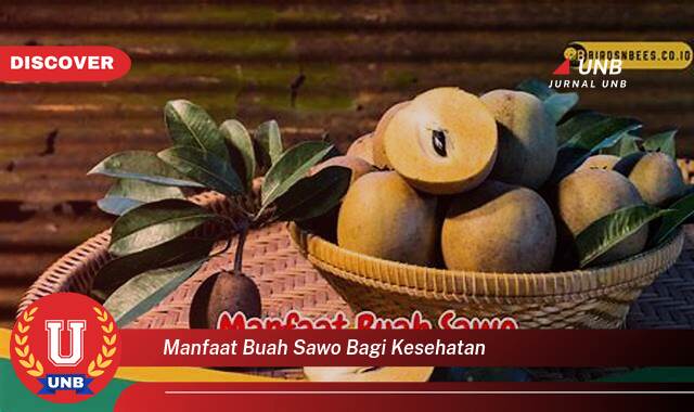 Inilah 8 Manfaat manfaat buah sawo bagi kesehatan yang Bikin Kamu Penasaran