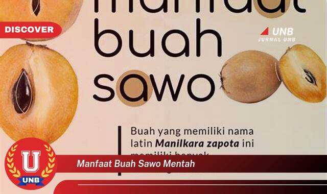 Ketahui 10 Manfaat manfaat buah sawo mentah yang Jarang Diketahui