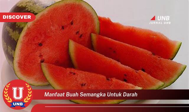 Inilah 8 Manfaat manfaat buah semangka untuk darah yang Bikin Kamu Penasaran