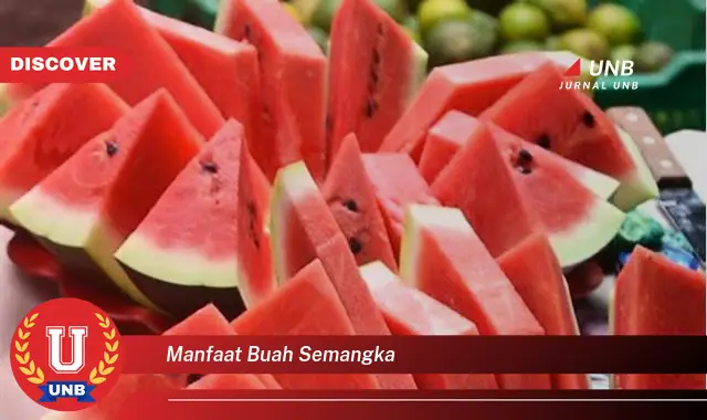 manfaat buah semangka