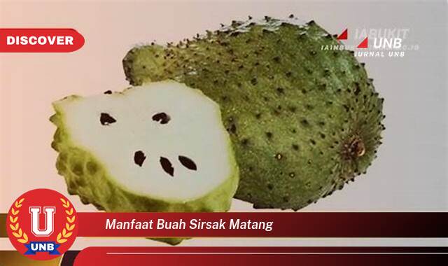 Temukan 10 Manfaat Buah Sirsak Matang untuk Kesehatan Anda