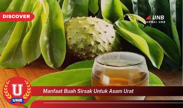9 Manfaat buah sirsak untuk asam urat yang Wajib kamu ketahui
