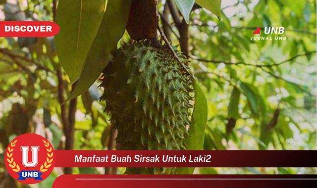 Temukan 10 Manfaat Buah Sirsak untuk Kesehatan Pria, Kuat, Sehat, dan Prima