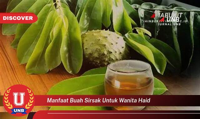 Inilah 9 Manfaat manfaat buah sirsak untuk wanita haid yang Jarang Diketahui