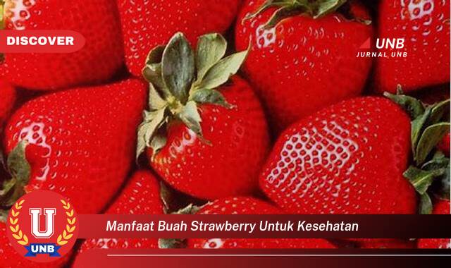 10 Manfaat buah strawberry untuk kesehatan yang Wajib Kamu Intip