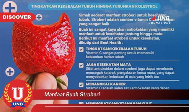 Temukan 8 Manfaat Buah Stroberi untuk Kesehatan, Kecantikan, dan Resep Lezat