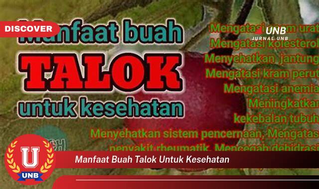 Temukan 9 Manfaat manfaat buah talok untuk kesehatan yang Wajib kamu ketahui